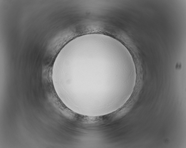 X0000115000672200912071141