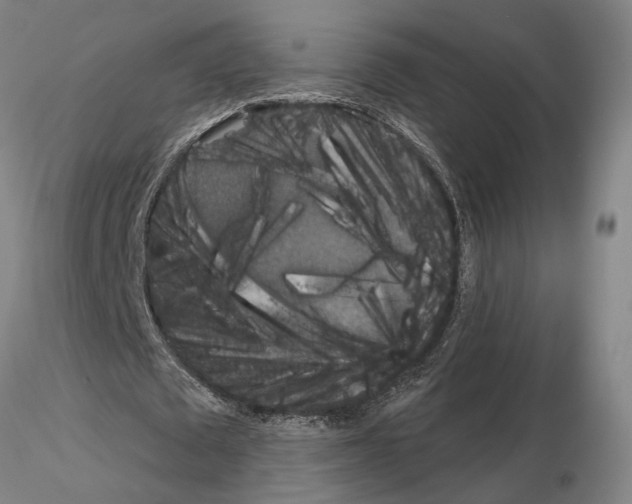 X0000115000673200912071140