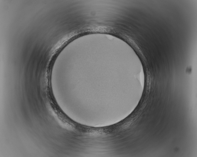 X0000115000674200912071140