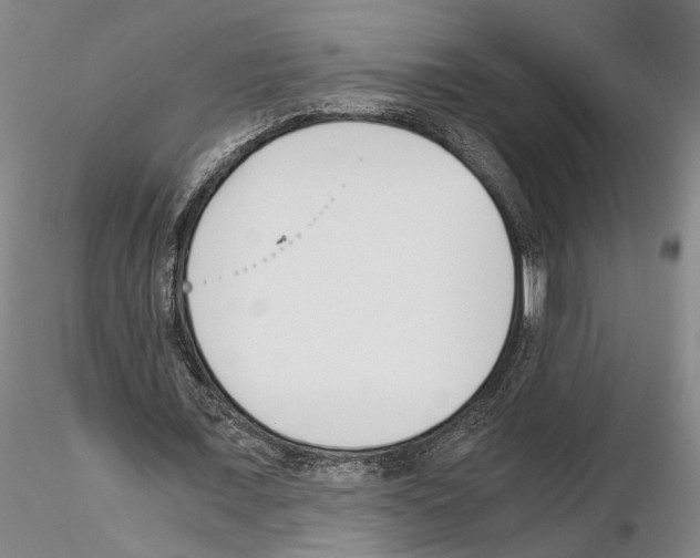 X0000115000675200912071140