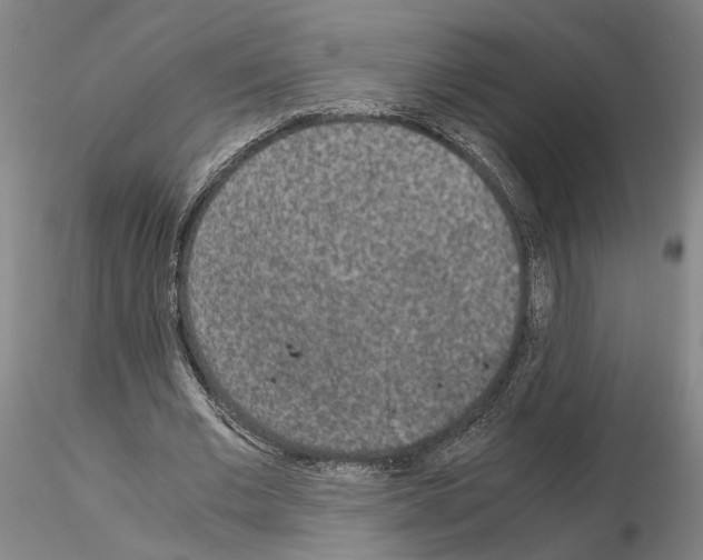 X0000115000677200912071140