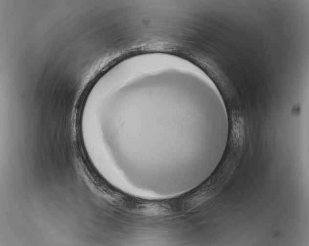 X0000115000678200912071140