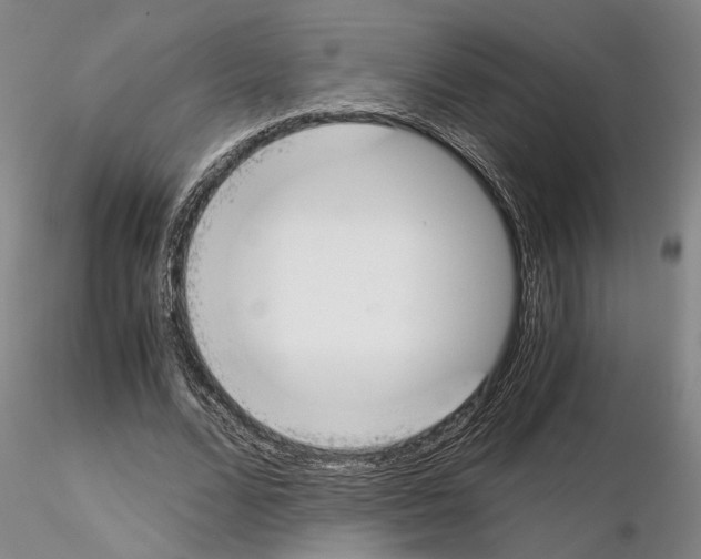 X0000115000680200912071140