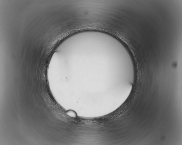 X0000115000681200912071140