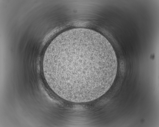 X0000115000682200912071140