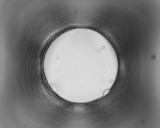 X0000115000684200912071140