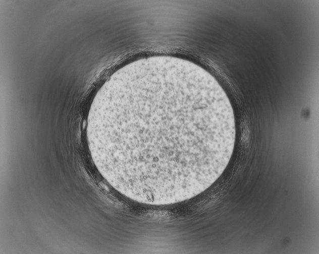 X0000115000685200912071140