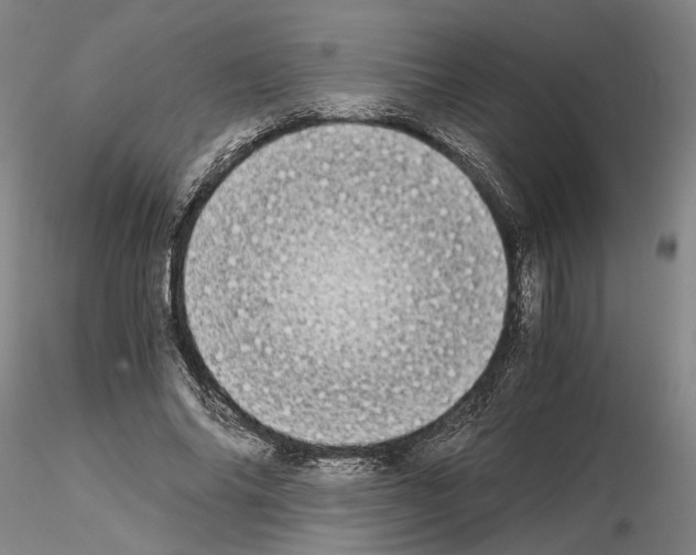 X0000115000686200912071140