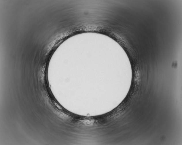 X0000115000687200912071140