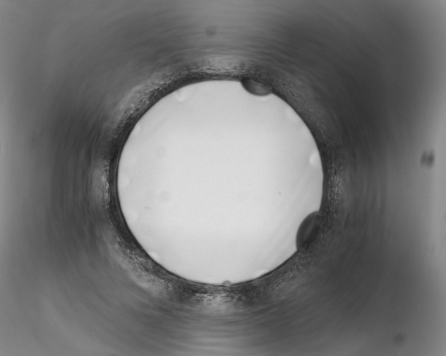 X0000115000688200912071140