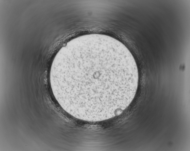 X0000115000689200912071140