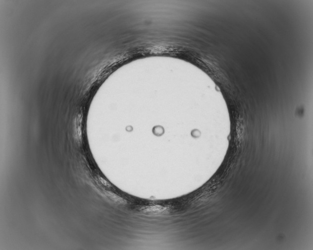 X0000115000691200912071140