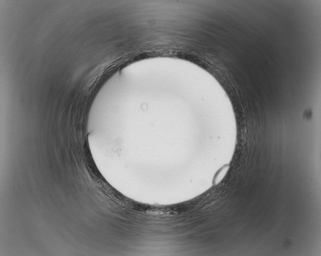 X0000115000693200912071140