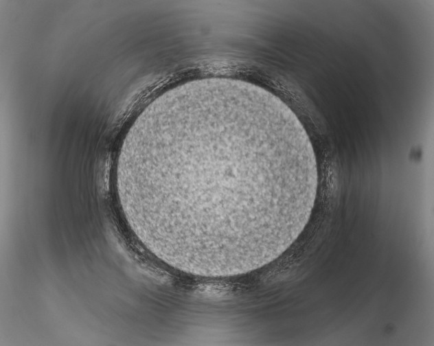 X0000115000694200912071140