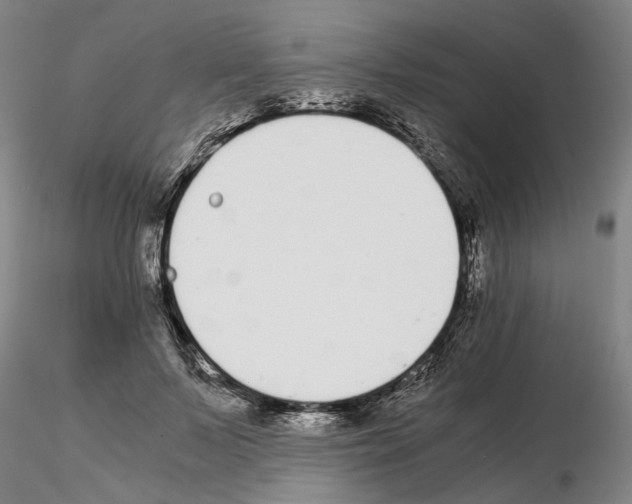 X0000115000695200912071140