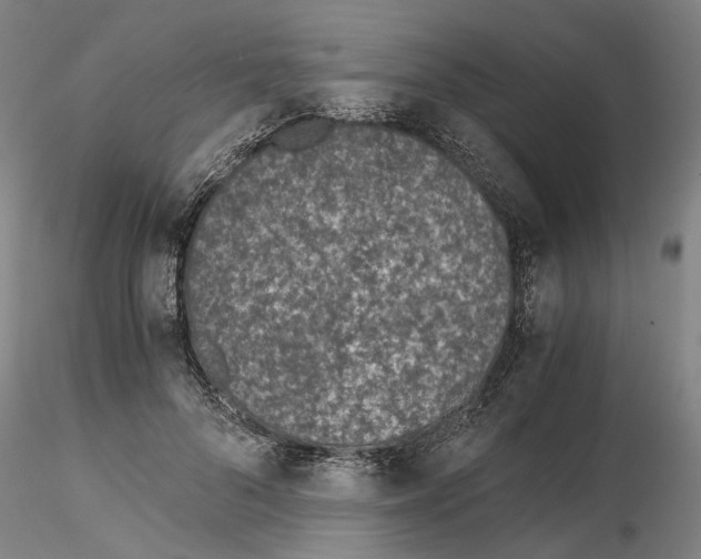 X0000115000696200912071140