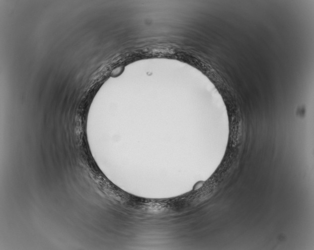 X0000115000704200912071140