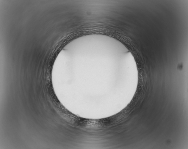 X0000115000705200912071140