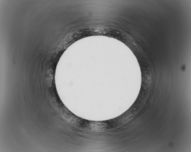 X0000115000707200912071140