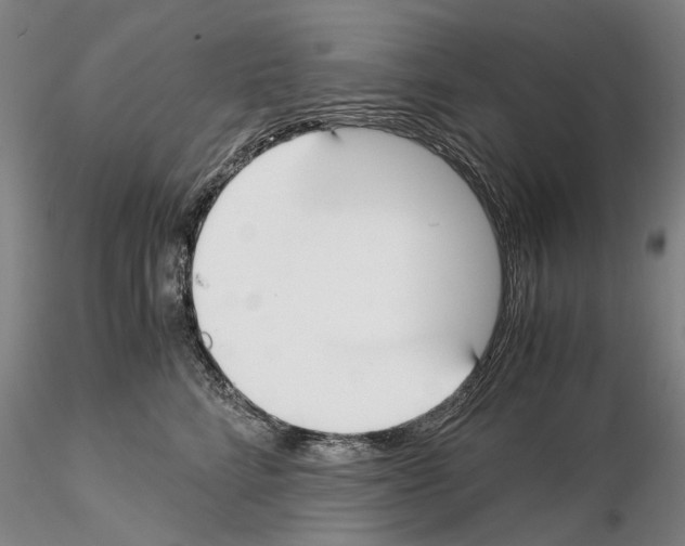 X0000115000712200912071140