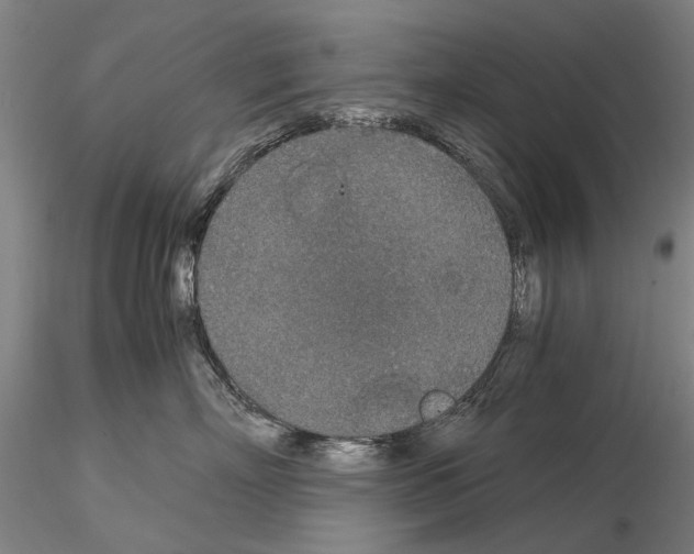 X0000115000718200912071140