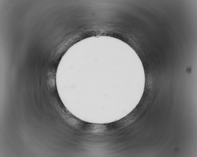 X0000115000719200912071140