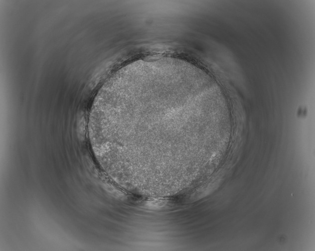 X0000115000720200912071140