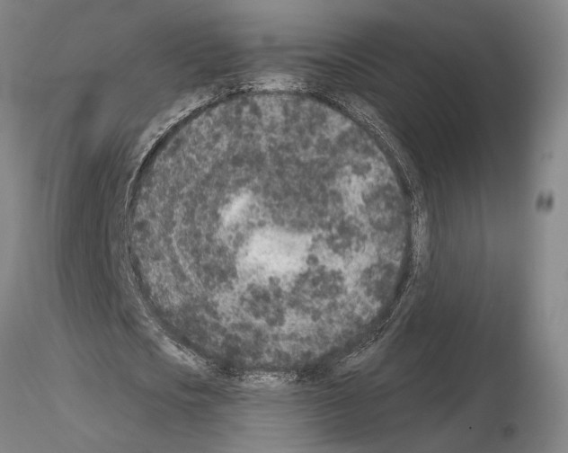 X0000115000721200912071139