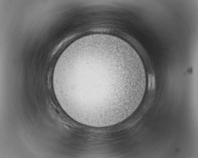 X0000115000723200912071139