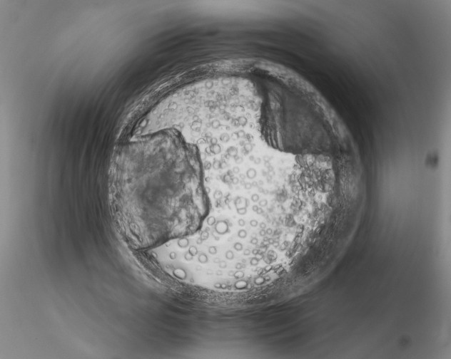 X0000115000725200912071139