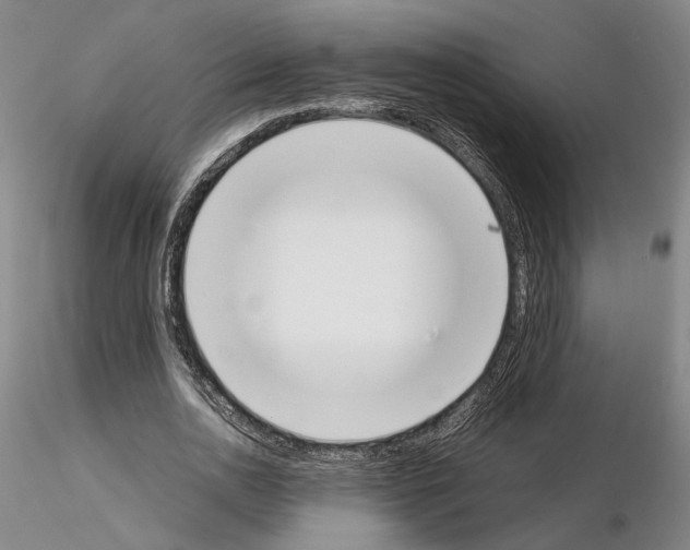 X0000115000726200912071139