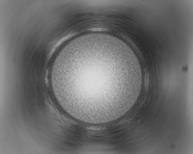 X0000115000727200912071139