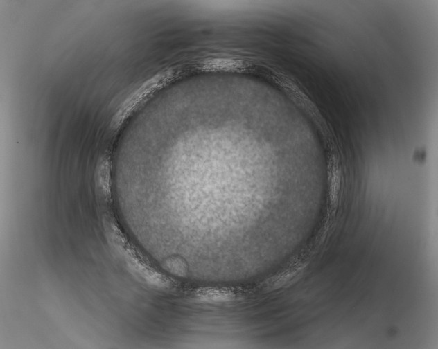 X0000115000729200912071139