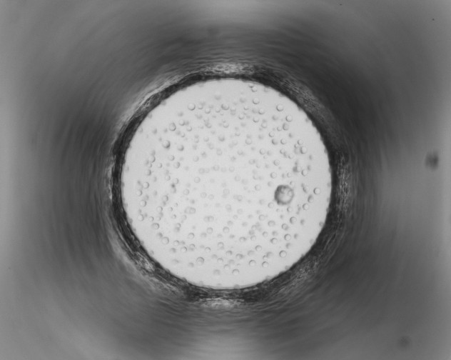 X0000115000730200912071139