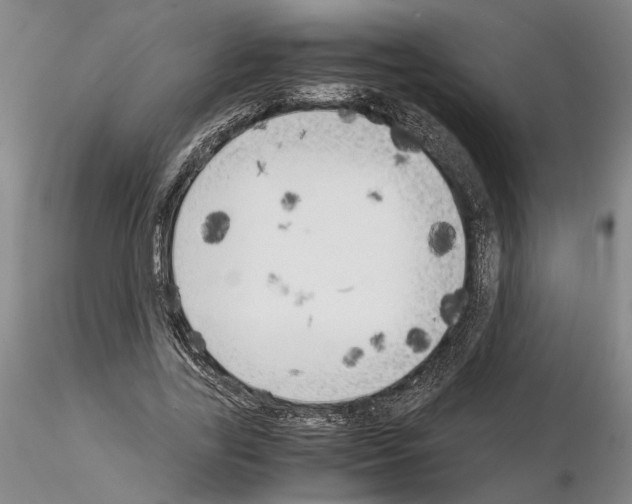 X0000115000731200912071139