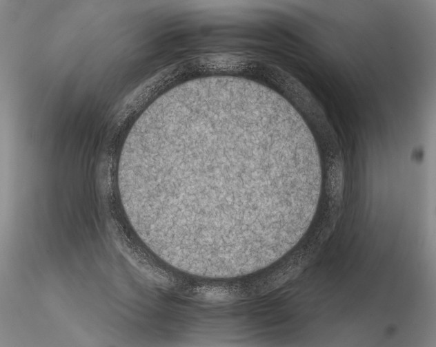 X0000115000733200912071139