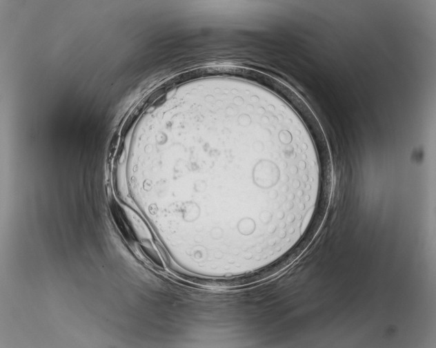 X0000115000734200912071139