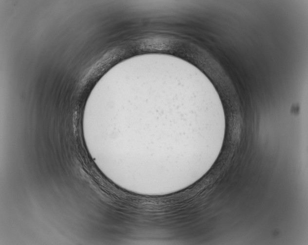 X0000115000735200912071139