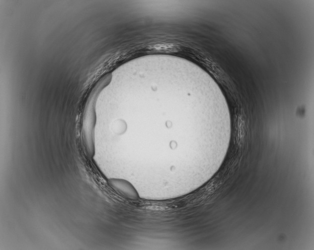 X0000115000738200912071139