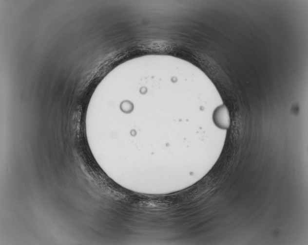 X0000115000739200912071139