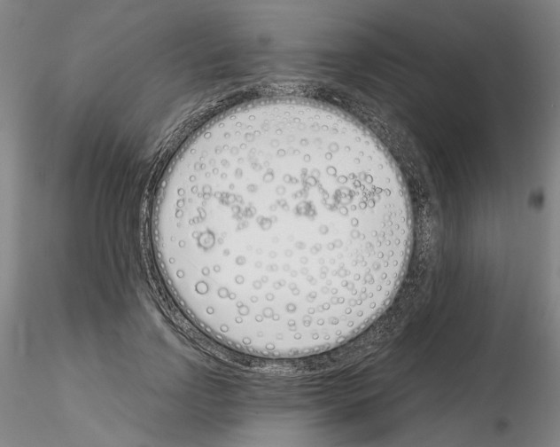 X0000115000742200912071139