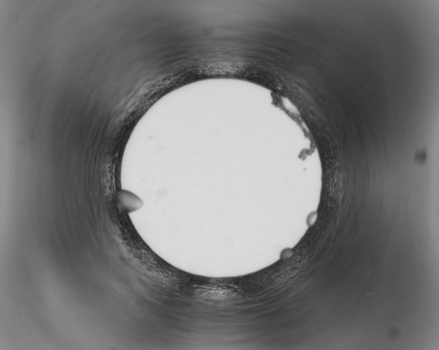 X0000115000743200912071139