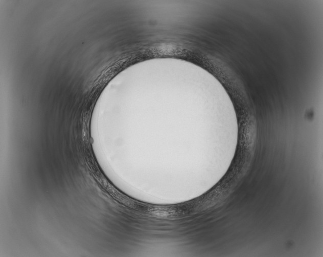 X0000115000746200912071139