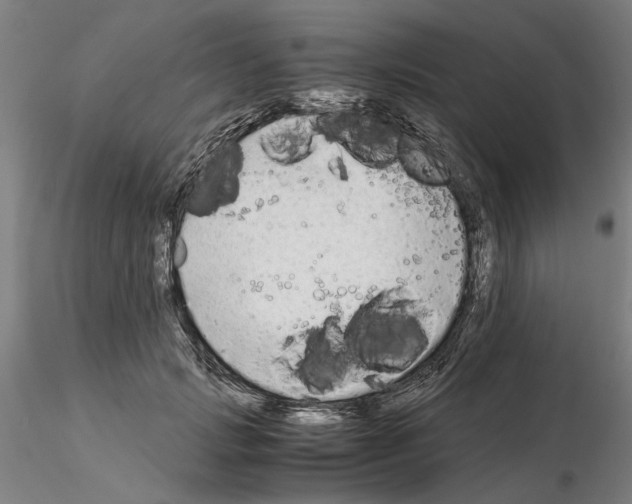 X0000115000749200912071139