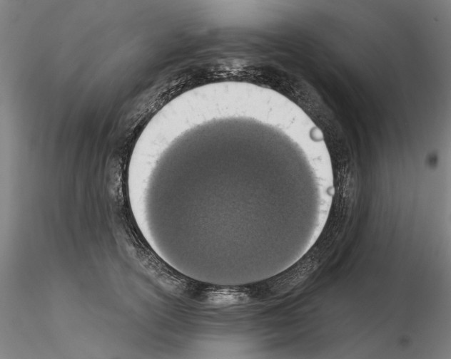 X0000115000754200912071139