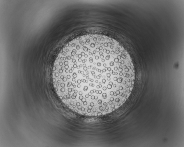 X0000115000759200912071139