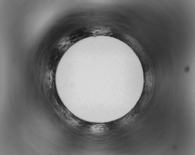 X0000115000761200912071139