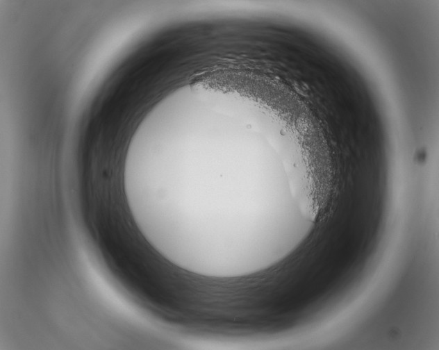 X0000115000766200912071140