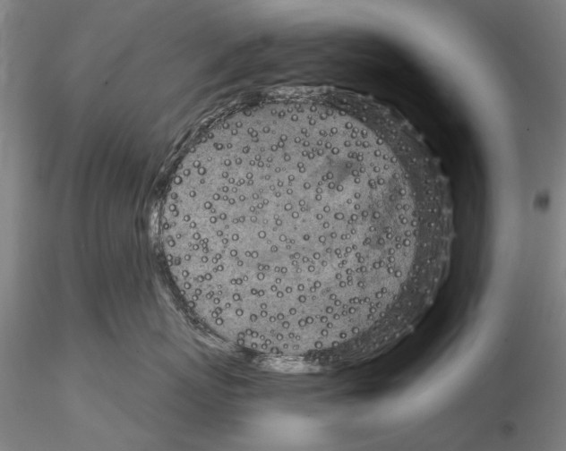 X0000115000767200912071140