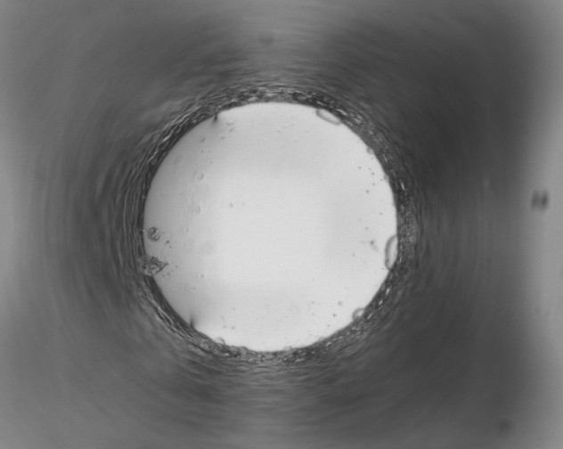 X0000115000769200912071139